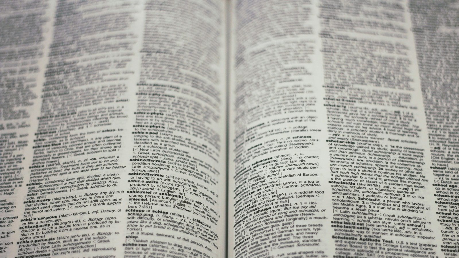 image d'un dictionnaire